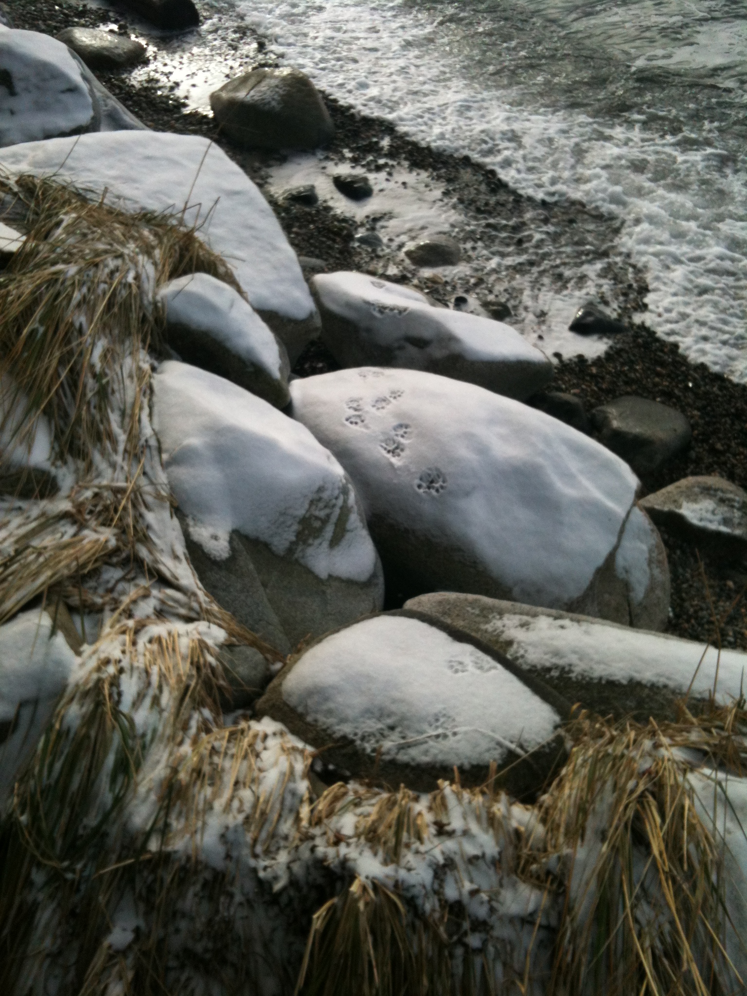 Snow on rocks