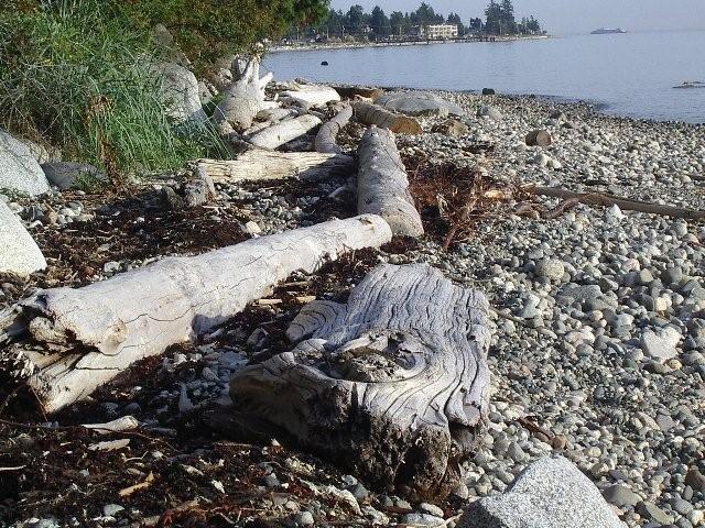 Beachwalk to Davis Bay