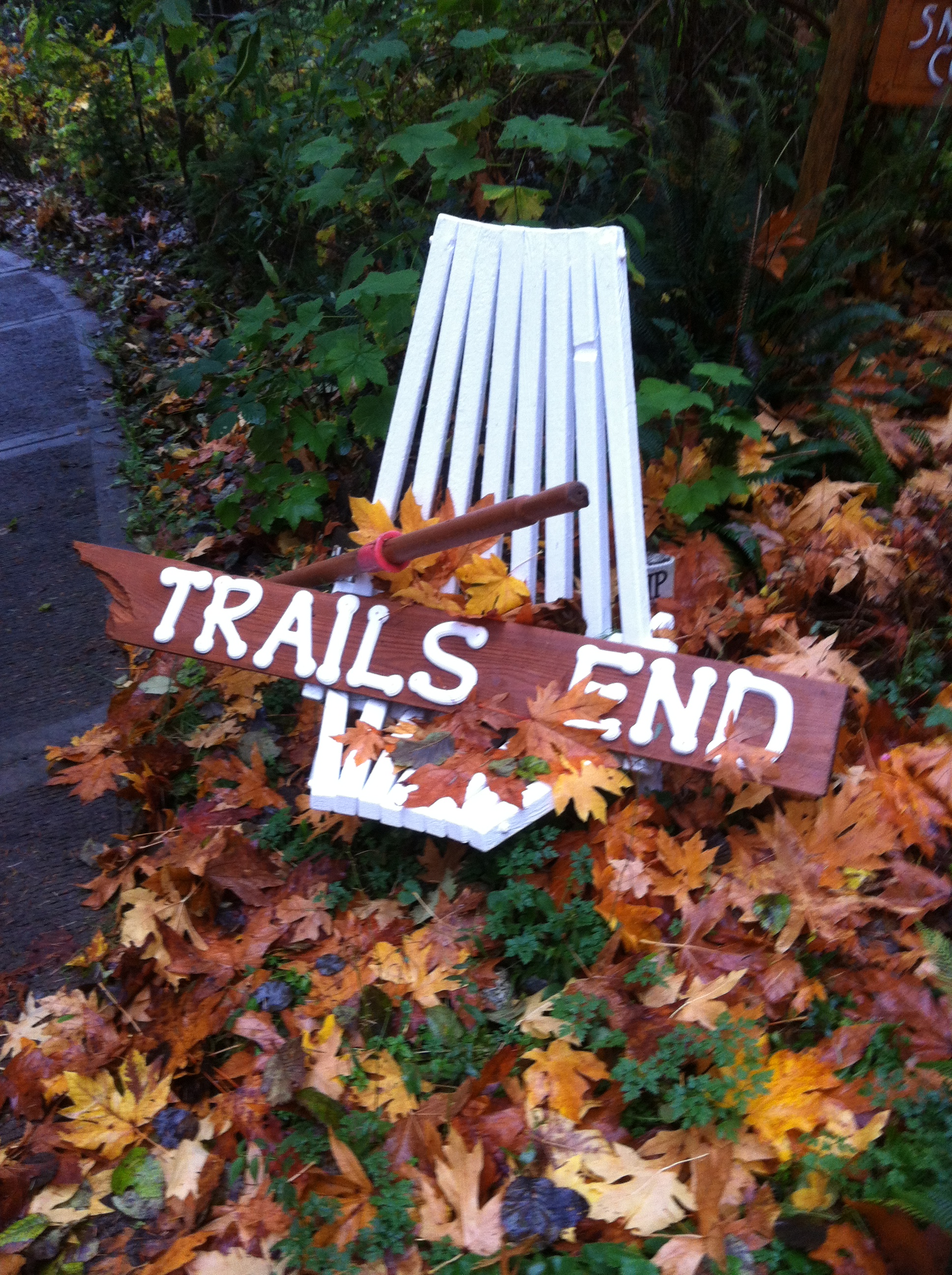 driveway in fall