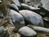 Snow on rocks